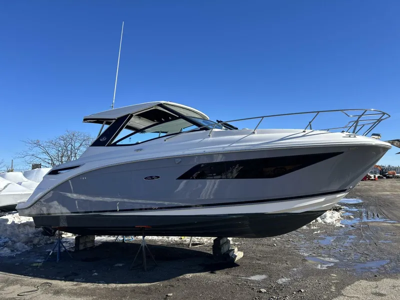 The Image of Sea Ray 320 Sundancer 2021 - 5934804