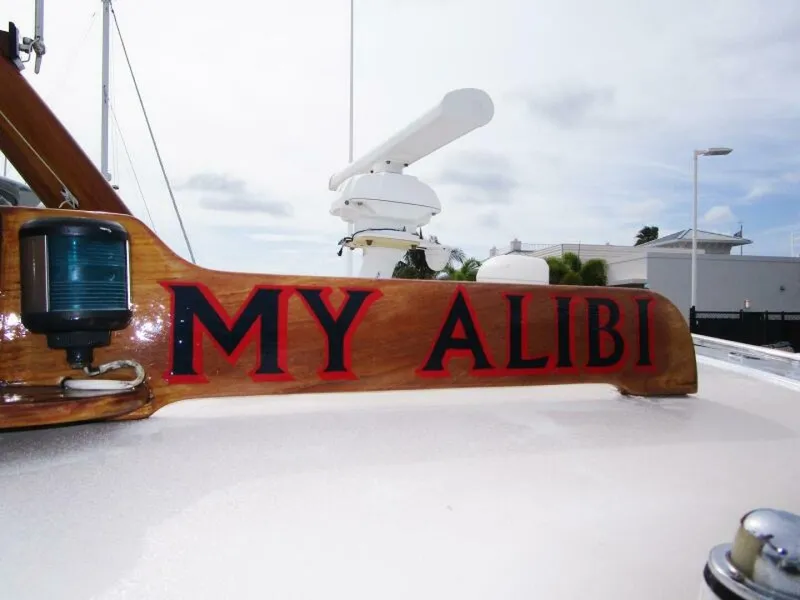 Slide: The Image of MY ALIBI - 5935418