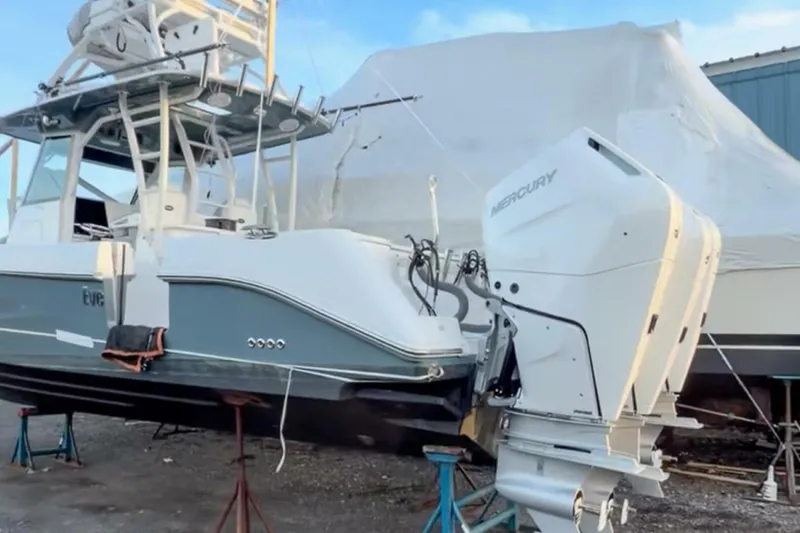 Slide: The Image of Everglades 355 CC 2017 - 5936232