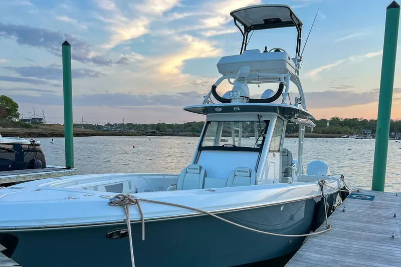 Slide: The Image of Everglades 355 CC 2017 - 5936235