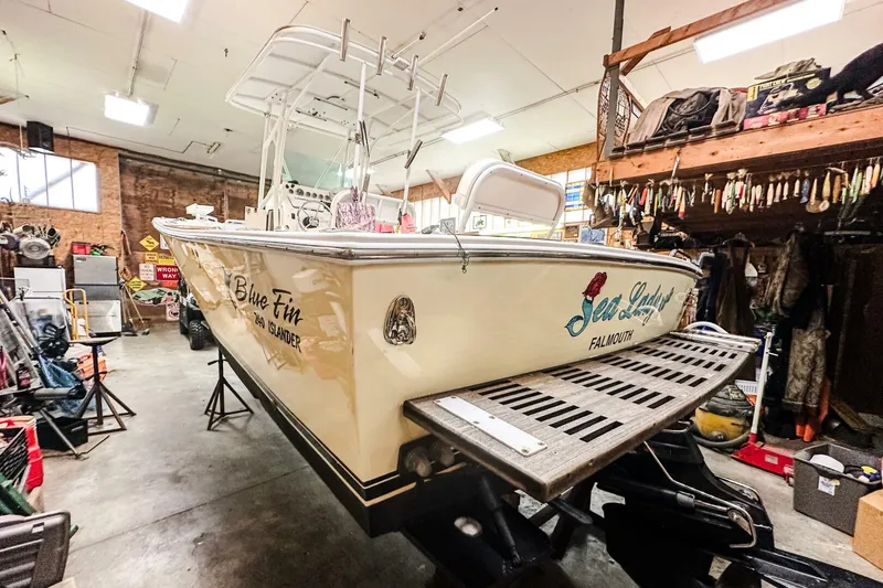 Slide: The Image of Blue Fin 24 2009 - 5936256