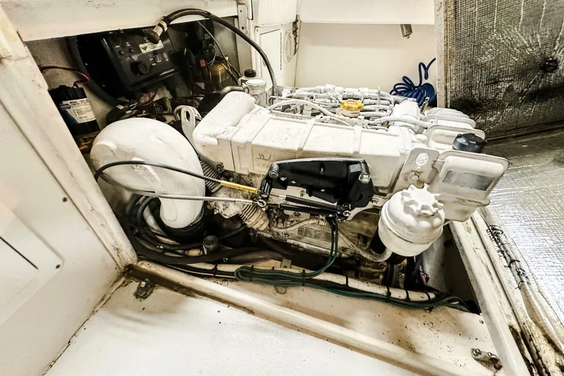 Slide: The Image of Blue Fin 24 2009 - 5936273