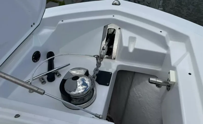 Slide: The Image of Blackfin 272DC 2020 - 5943137