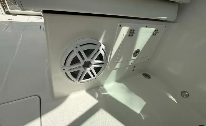 Slide: The Image of Blackfin 272DC 2020 - 5943139