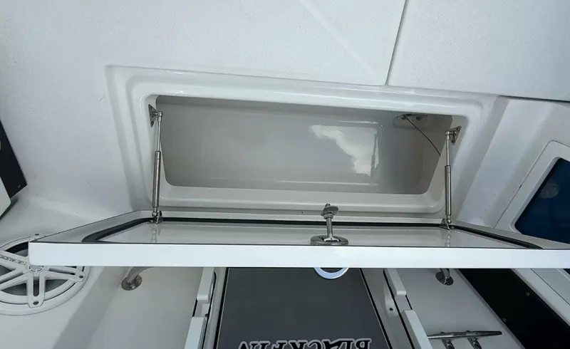 Slide: The Image of Blackfin 272DC 2020 - 5943145