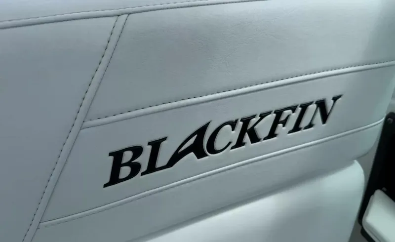 Slide: The Image of Blackfin 272DC 2020 - 5943163