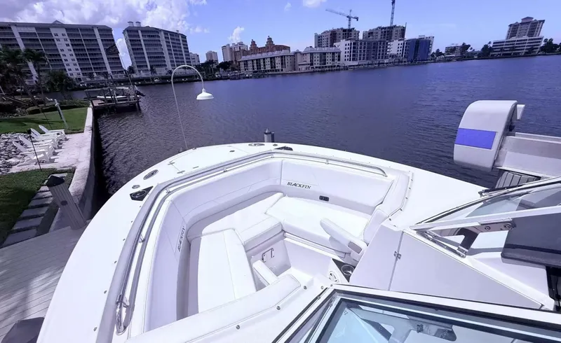 Slide: The Image of Blackfin 272DC 2020 - 5943129