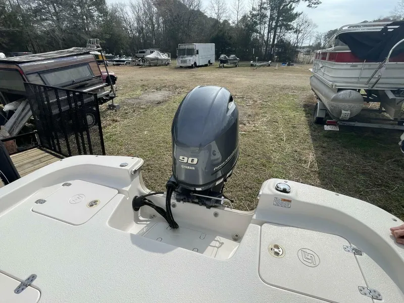 Slide: The Image of Carolina 198DLV 2019 - 5944607