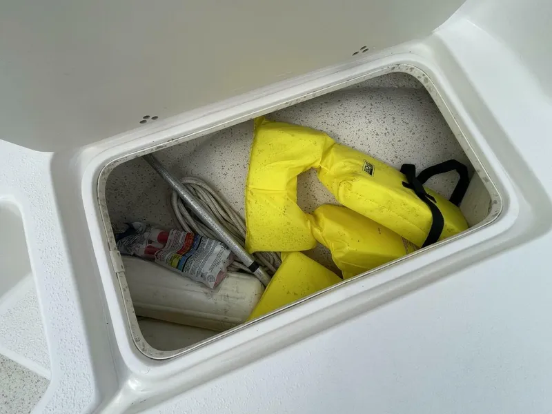 Slide: The Image of Carolina 198DLV 2019 - 5944612