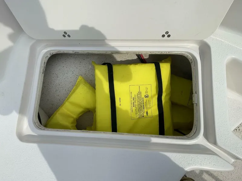 Slide: The Image of Carolina 198DLV 2019 - 5944613