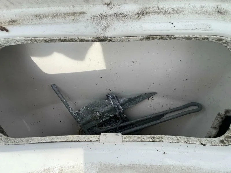 Slide: The Image of Carolina 198DLV 2019 - 5944614