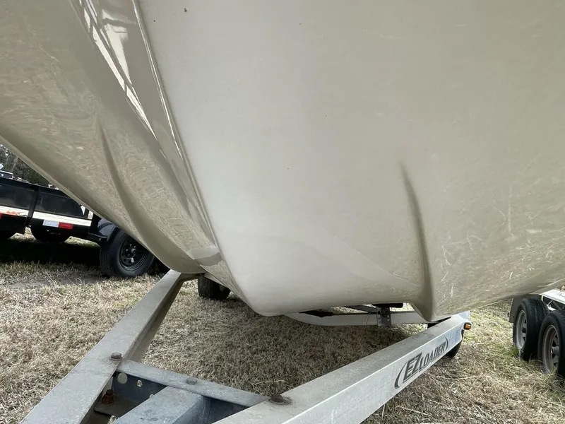 Slide: The Image of Carolina 198DLV 2019 - 5944622