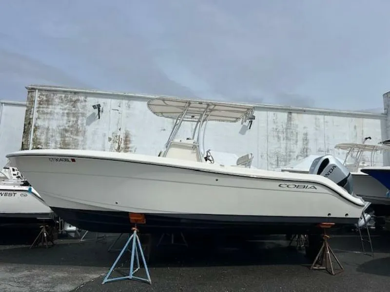 The Image of Cobia 237 2022 - 5947677