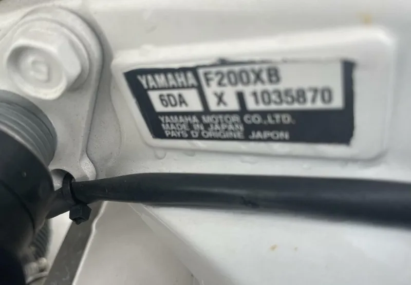 Slide: The Image of Sea Fox 26 2018 - 5950714