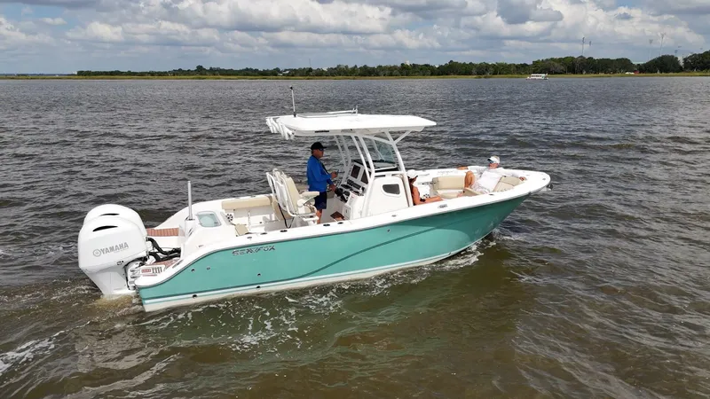 Slide: The Image of Sea Fox 26 2018 - 5950703