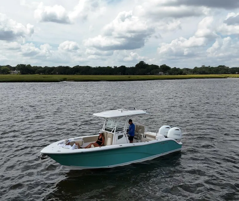 Slide: The Image of Sea Fox 26 2018 - 5950704