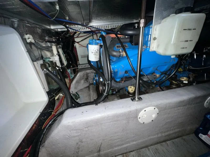 Slide: The Image of IMG_7485 - 5951148