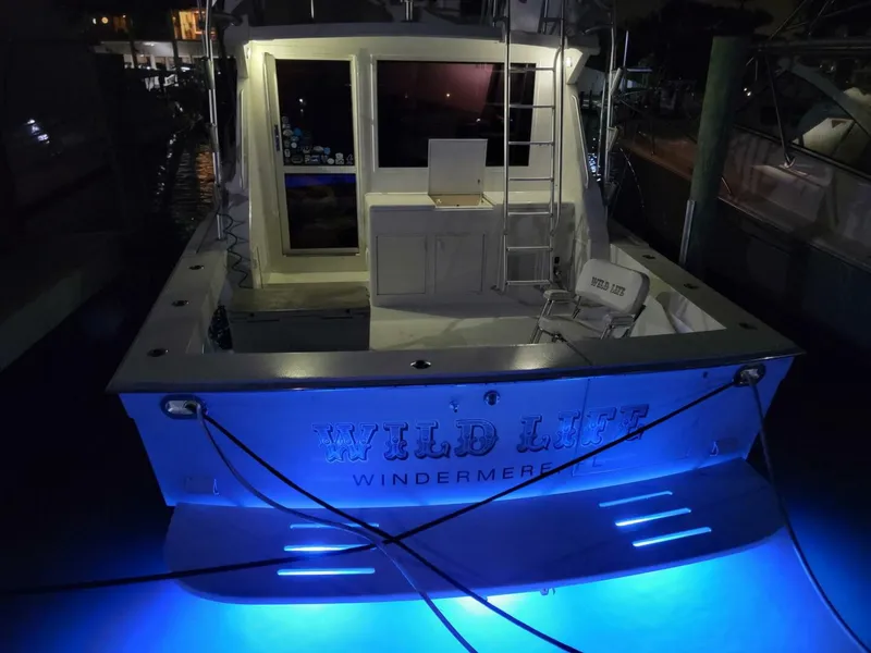 Slide: The Image of Viking 45 - Wild Life 1989 Viking 45 Convertible - Wild Life - 5952316