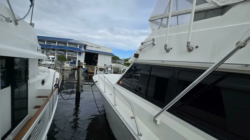 Slide: The Image of Viking 45 - Wild Life 1989 Viking 45 Convertible - Wild Life - 7649152