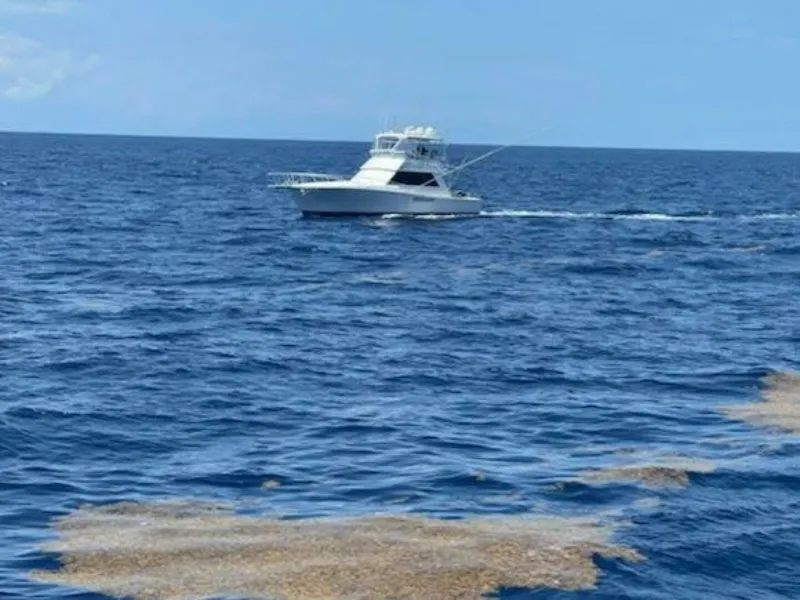 Slide: The Image of Viking 45 - Wild Life 1989 Viking 45 Convertible - Wild Life - 7649173