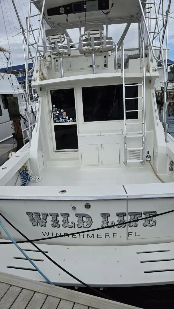 Slide: The Image of Viking 45 - Wild Life 1989 Viking 45 Convertible - Wild Life - 5952349