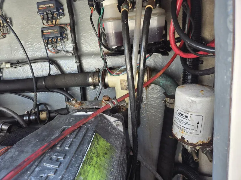 Slide: The Image of True World Marine TE286 2003 - 5952748