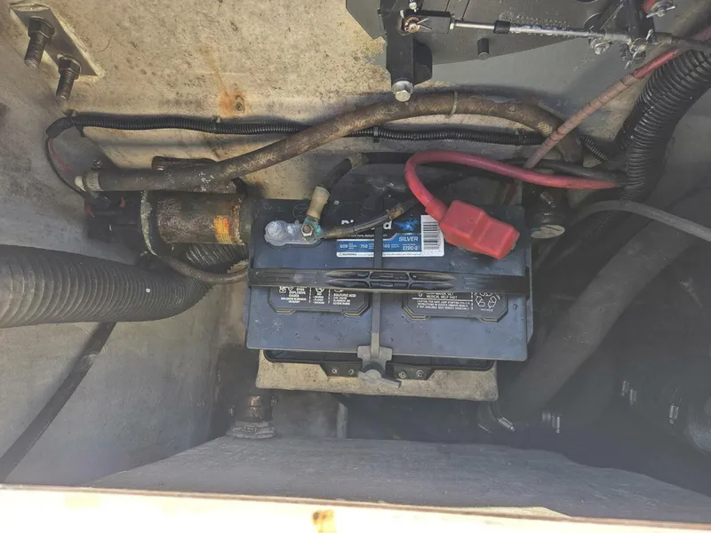 Slide: The Image of True World Marine TE286 2003 - 5952754