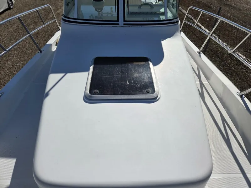 Slide: The Image of True World Marine TE286 2003 - 5952756