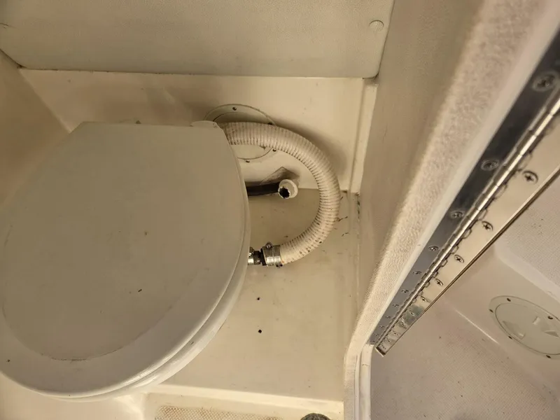 Slide: The Image of True World Marine TE286 2003 - 5952789