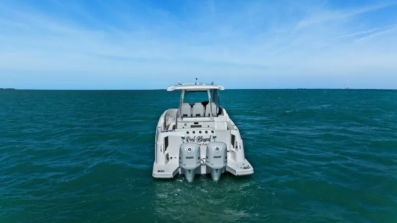 Slide: The Image of Regal 33 SAV 2020 - 5953885