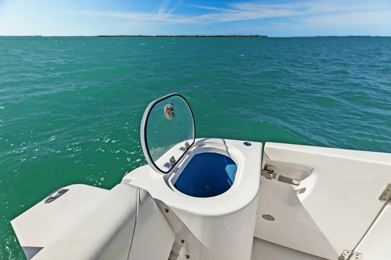 Slide: The Image of Regal 33 SAV 2020 - 5953926