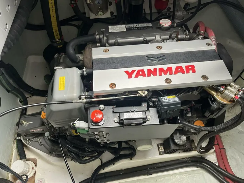 Slide: The Image of Leopard 45 2020 - 5956455