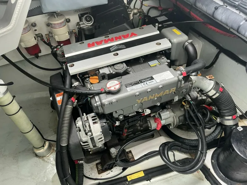 Slide: The Image of Leopard 45 2020 - 5956459