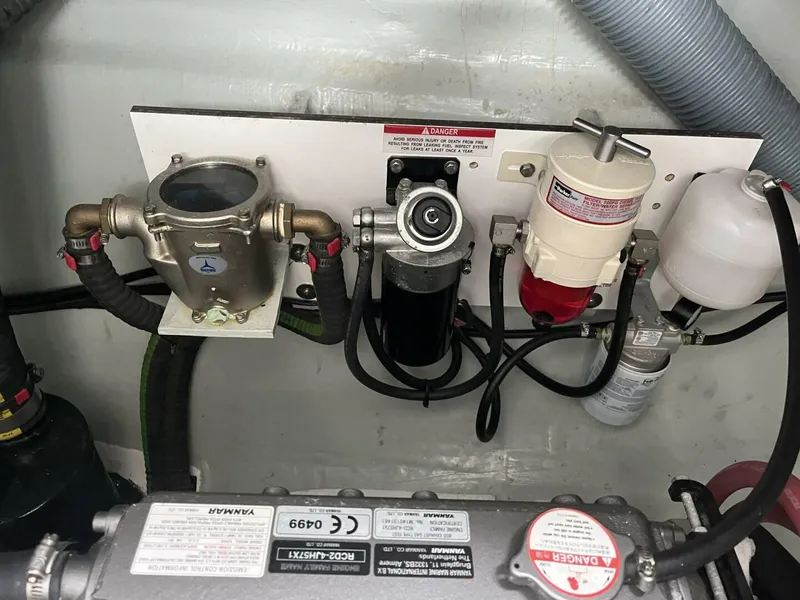 Slide: The Image of Leopard 45 2020 - 5956462