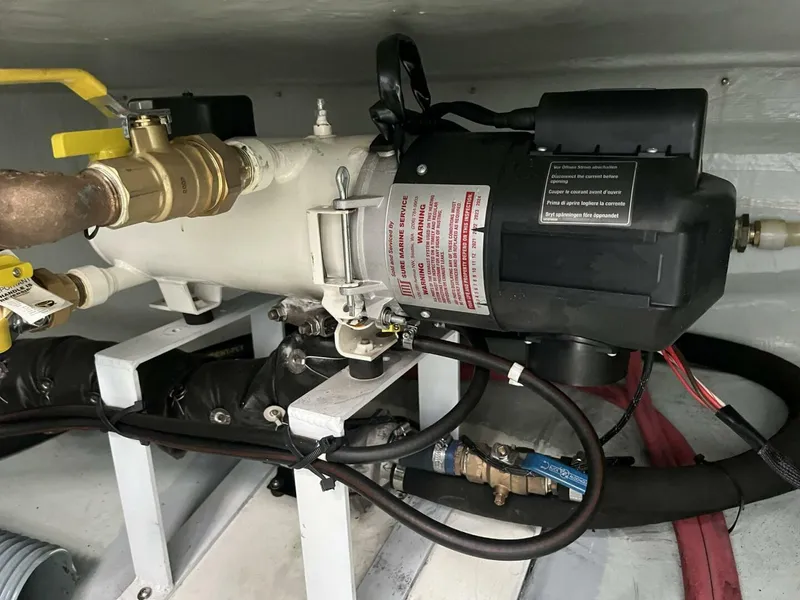 Slide: The Image of Leopard 45 2020 - 5956464