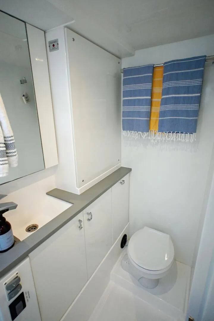 Slide: The Image of Leopard 45 2020 - 5956094