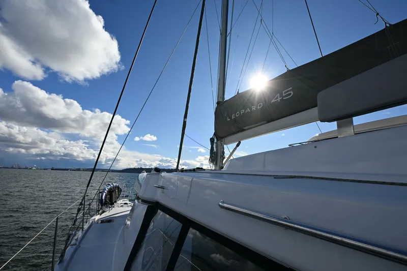 Slide: The Image of Leopard 45 2020 - 5956245