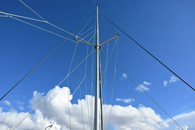 Slide: The Image of Leopard 45 2020 - 5956348