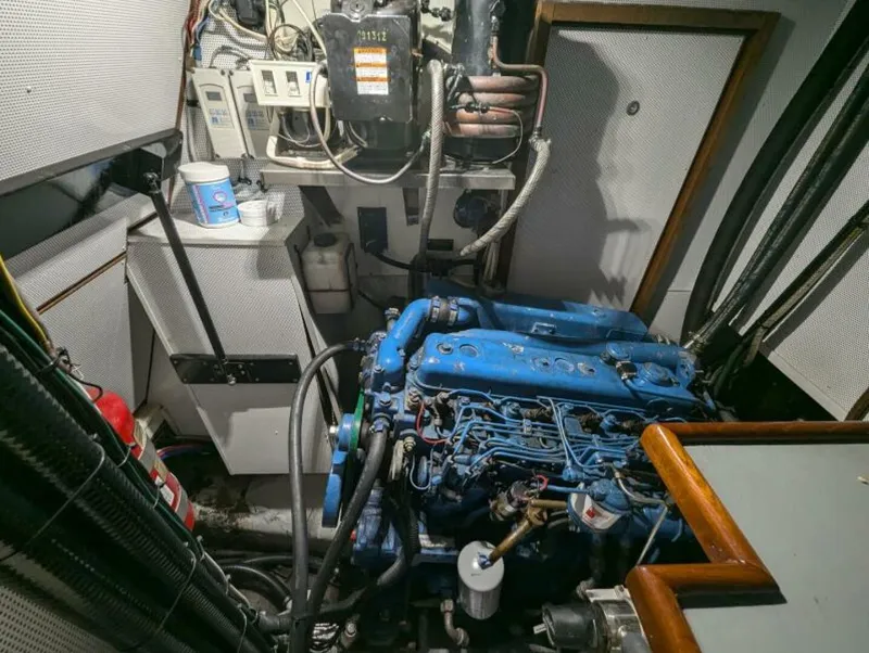 Slide: The Image of Tayana 55 1989 - 5957342