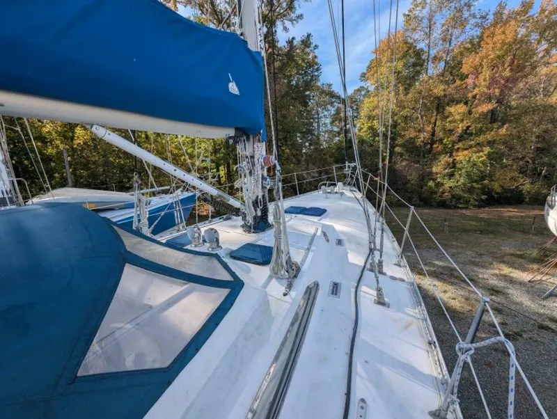 Slide: The Image of Tayana 55 1989 - 5957353