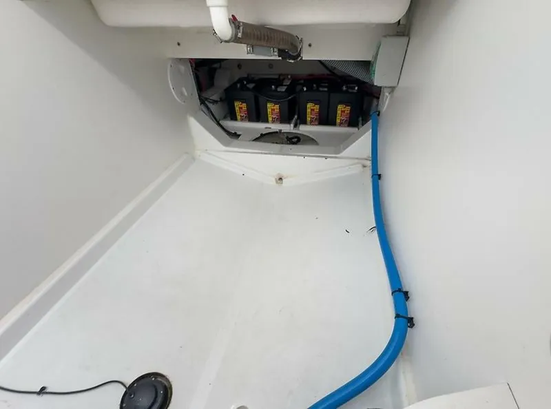 Slide: The Image of 0005586872 - 5962022