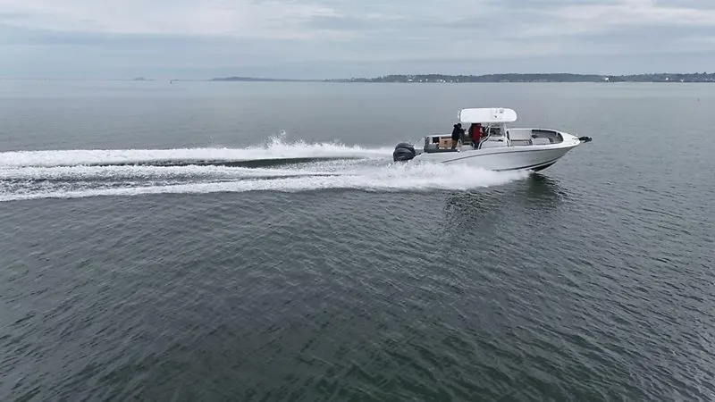 Slide: The Image of 0005586948 - 5962049