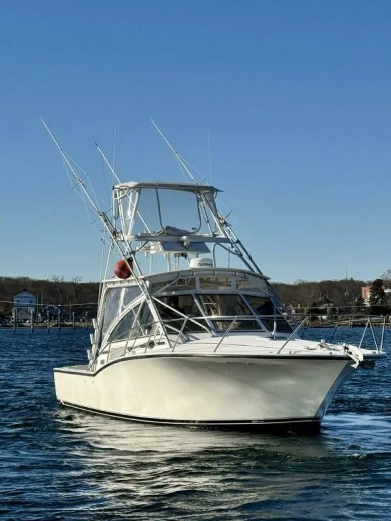 Slide: The Image of Carolina 35 Express 2002 - 5963469