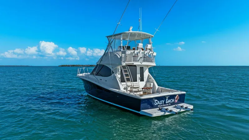 Slide: The Image of 2013 Tiara Yachts 3900 Convertible - Profile  - 5965882