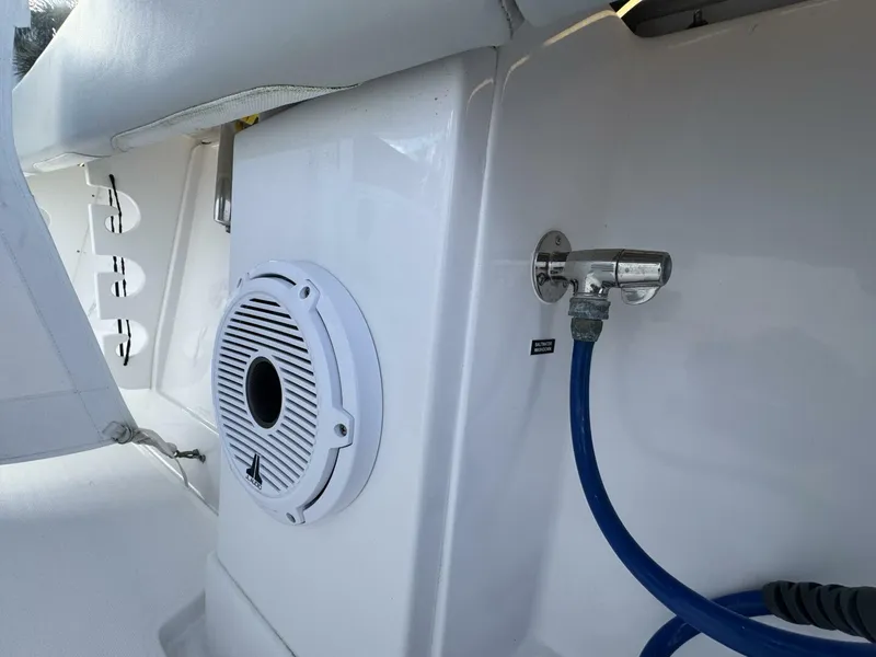 Slide: The Image of Jupiter 38 HFS 2024 - 5967278