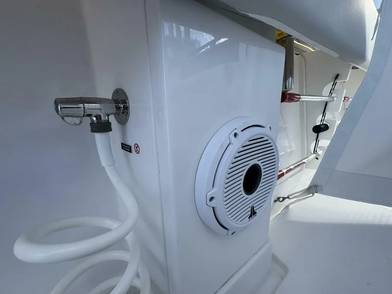 Slide: The Image of Jupiter 38 HFS 2024 - 5967280