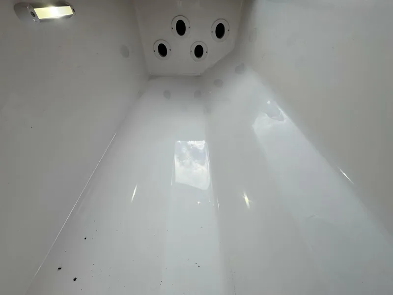 Slide: The Image of Jupiter 38 HFS 2024 - 5967260