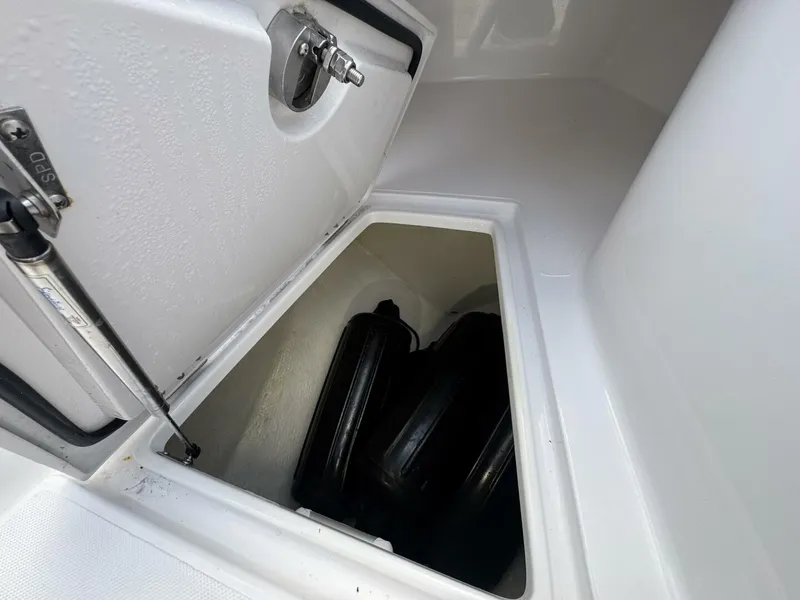 Slide: The Image of Jupiter 38 HFS 2024 - 5967277