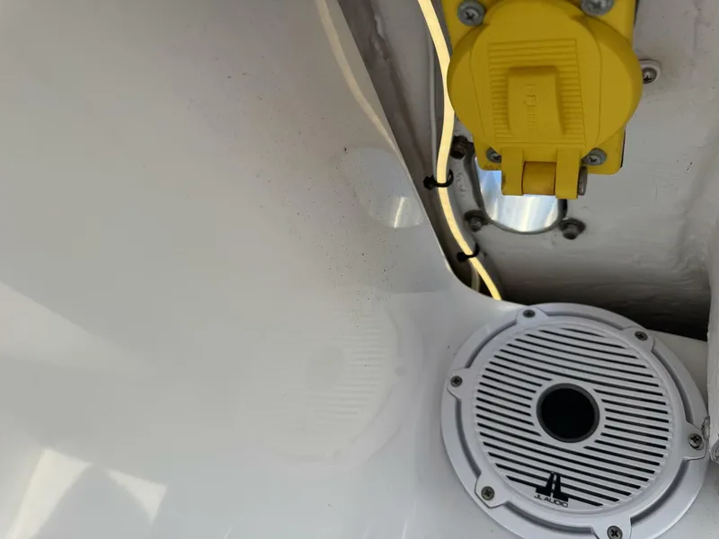 Slide: The Image of Jupiter 38 HFS 2024 - 5967308