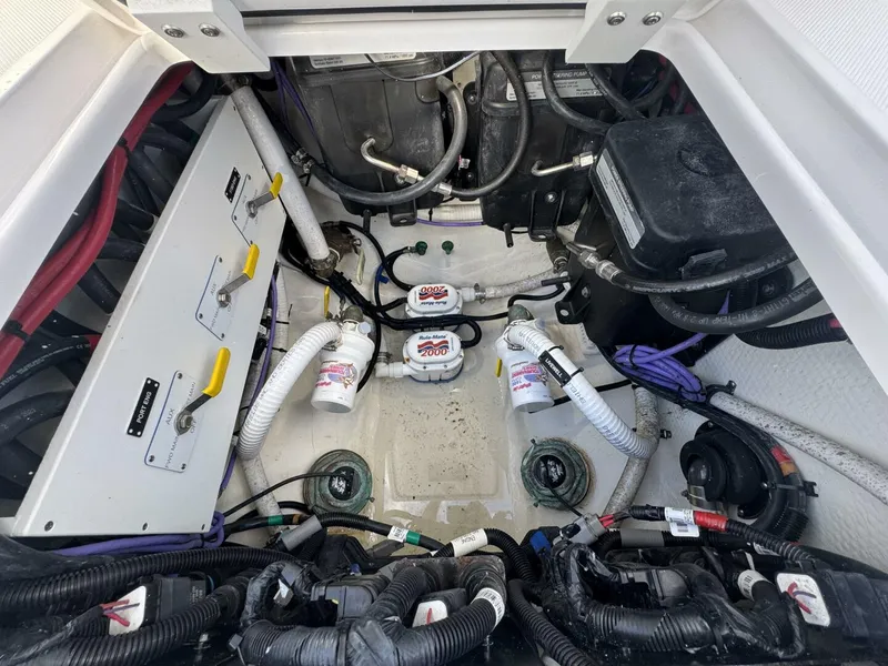 Slide: The Image of Jupiter 38 HFS 2024 - 5967330